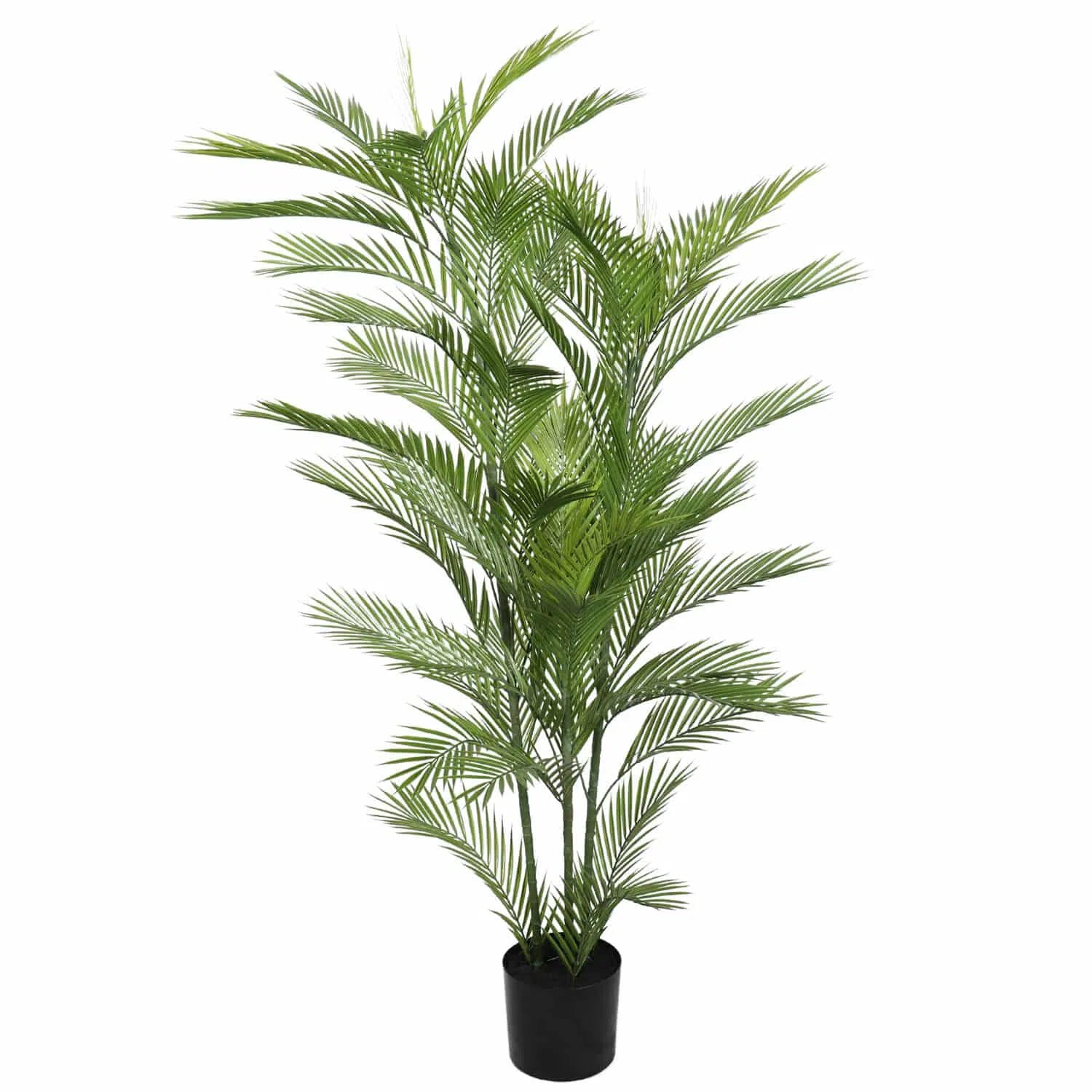 Phoenix Palm Tree UV Resistant 180cm
