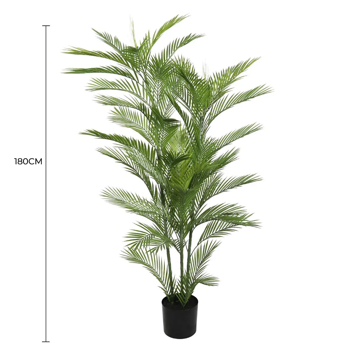 Phoenix Palm Tree UV Resistant 180cm
