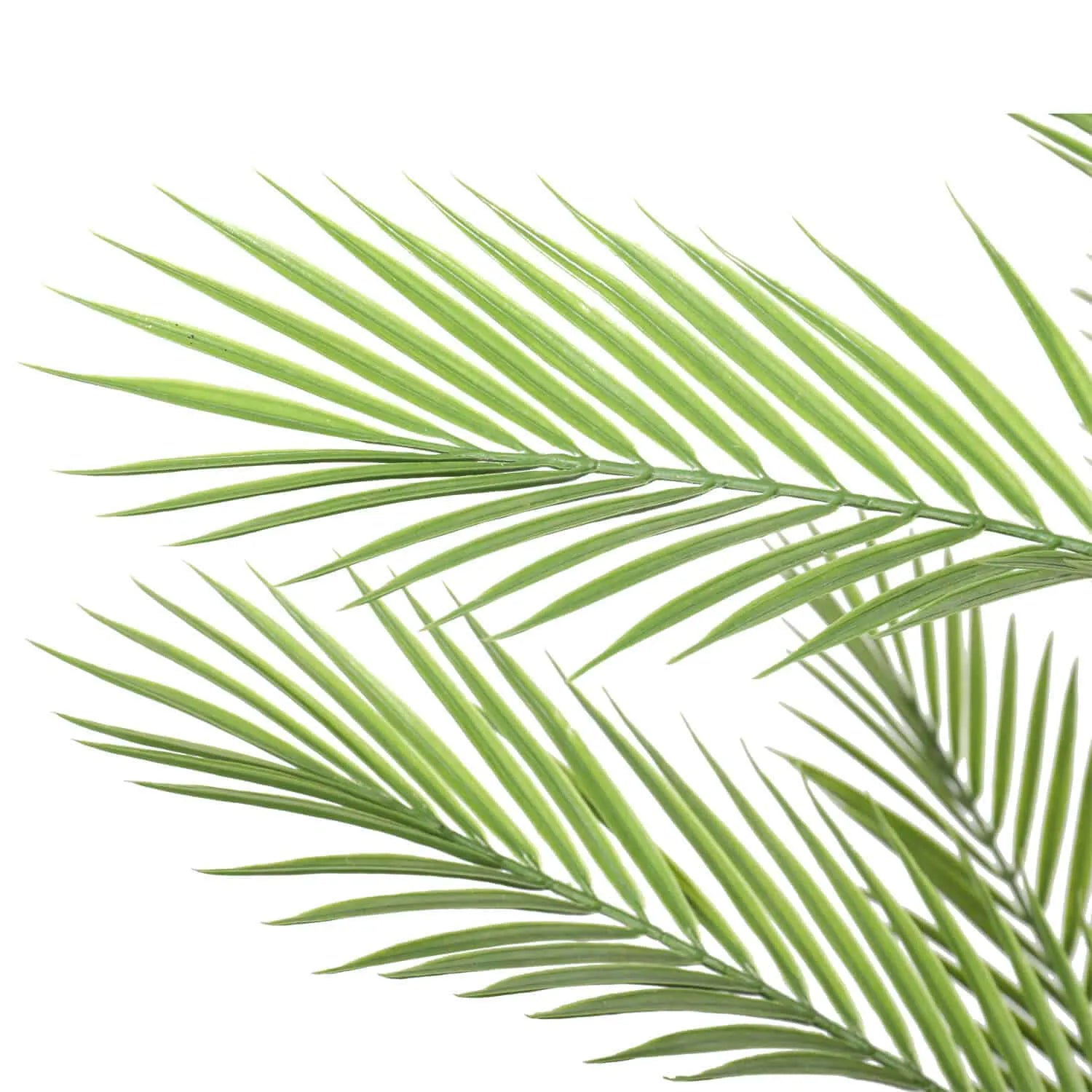 Phoenix Palm Tree UV Resistant 180cm