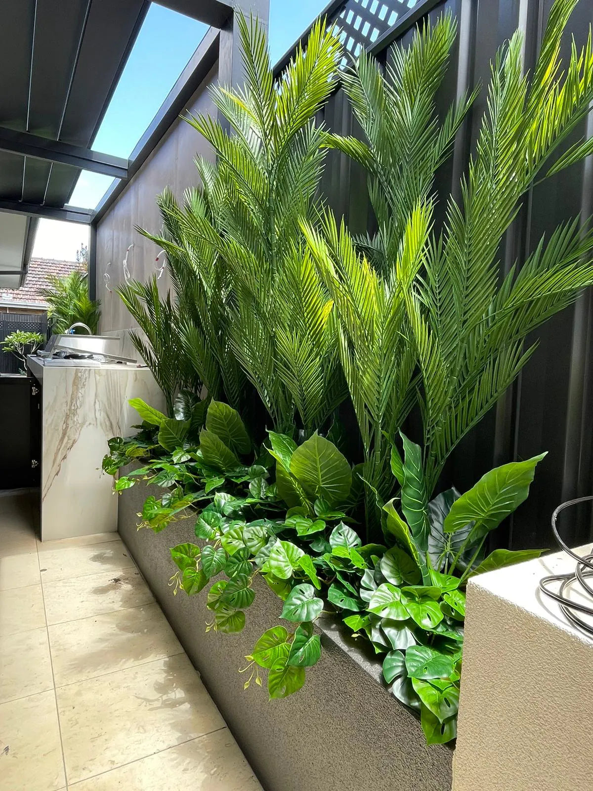 Phoenix Palm Tree UV Resistant 180cm