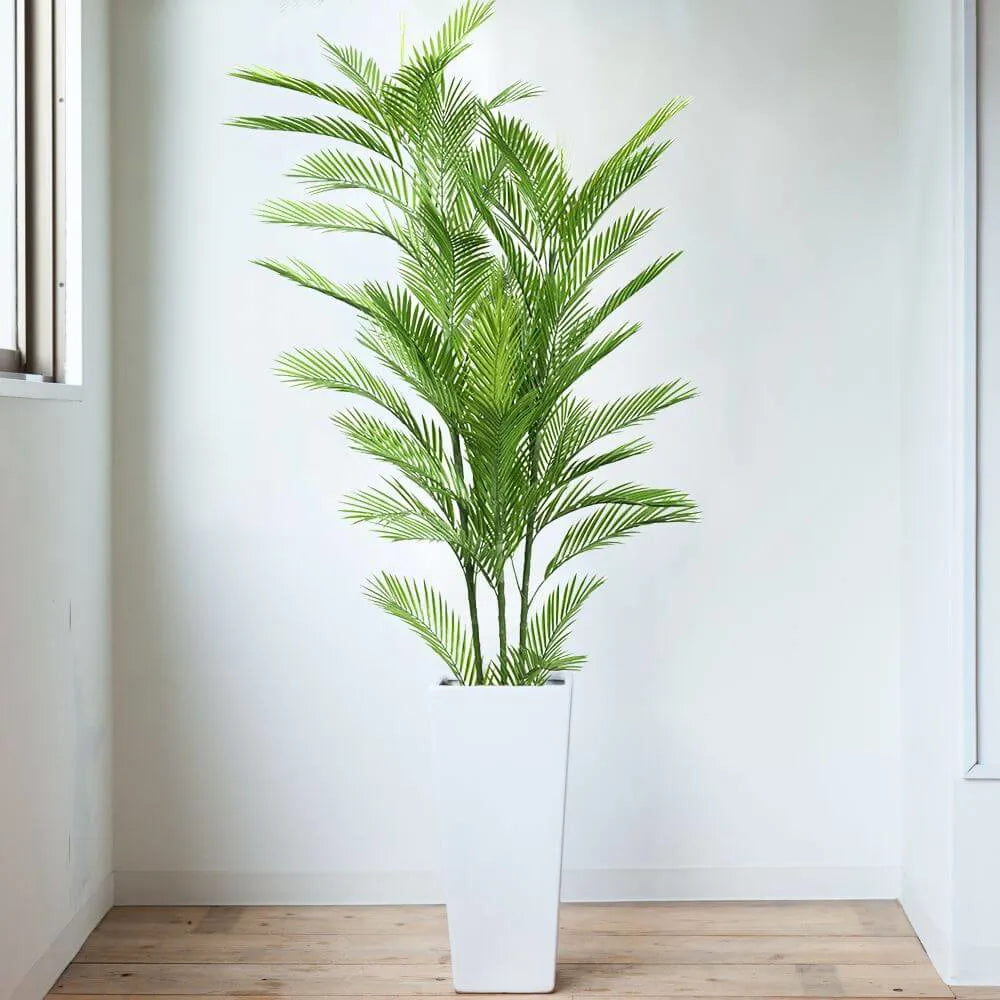Phoenix Palm Tree UV Resistant 180cm